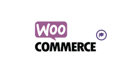 Woocommerce / Status Meanings