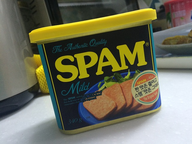 SPAM – Is it just ‘normal’ ?