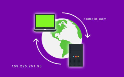 How to point your domain or DNS to our Pro Hosting servers